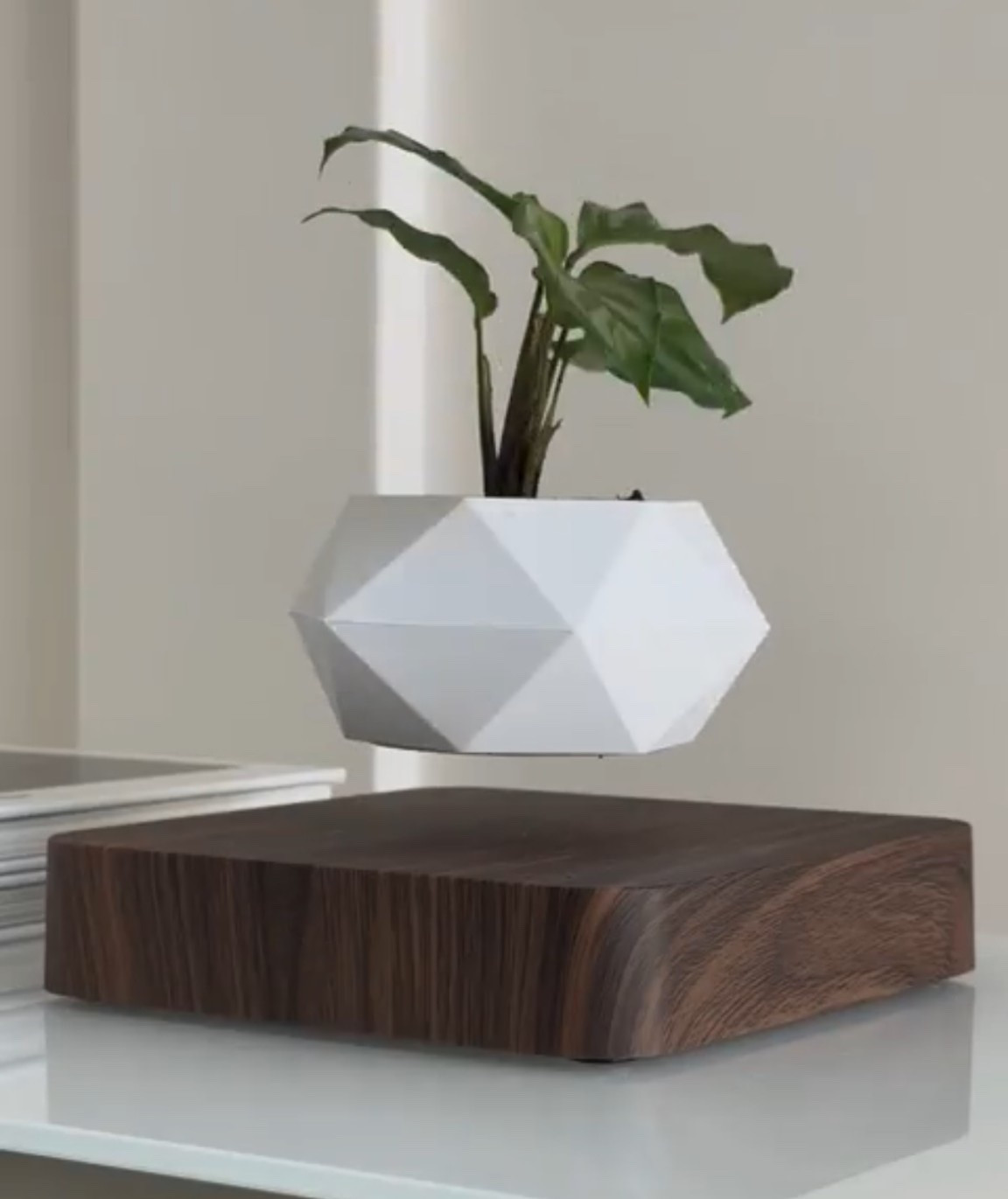 Scroll to shop!! Follow for more!! Xo! ✨

#LTKmomlife #LTKdayinmylife #LTKHome