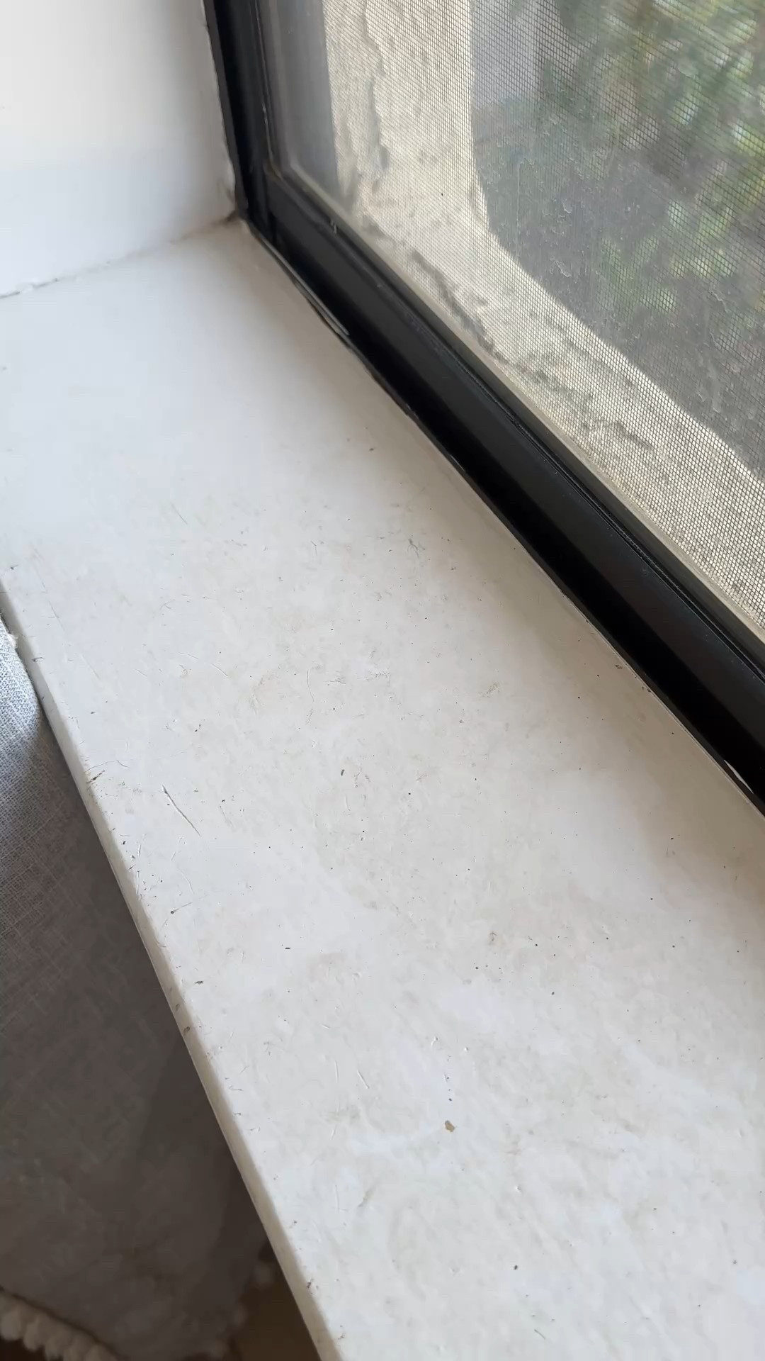 I can’t stop cleaning things. 😂 I’m filming for YouTube right now and I’m cleaning some different rooms today thought I would include this window sill my cats grub up on the daily 

Clean with me 
Ltkclean
Cleaning 
Nesting 

#LTKHome