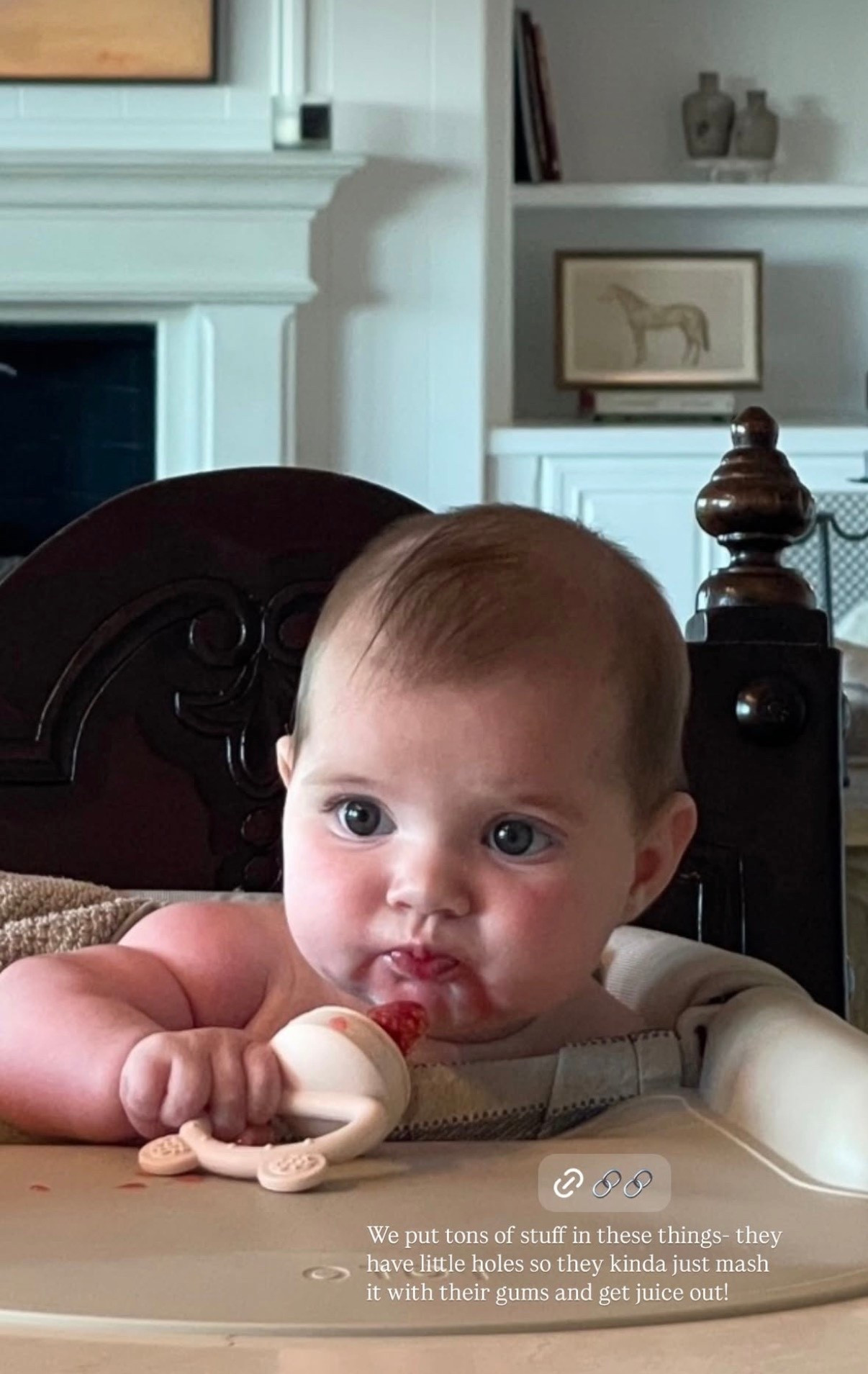 Teether / food intro tool