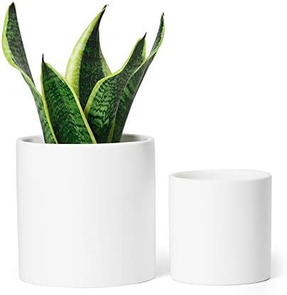 Greenaholics White Ceramic Plant Pots - 5.9 and 4.7 Inch Indoor Planters with Drainage Holes for ... | Amazon (US)