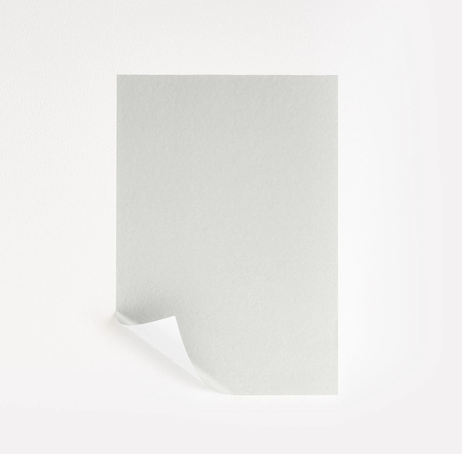 White Violet  Paint Sample | Samplize