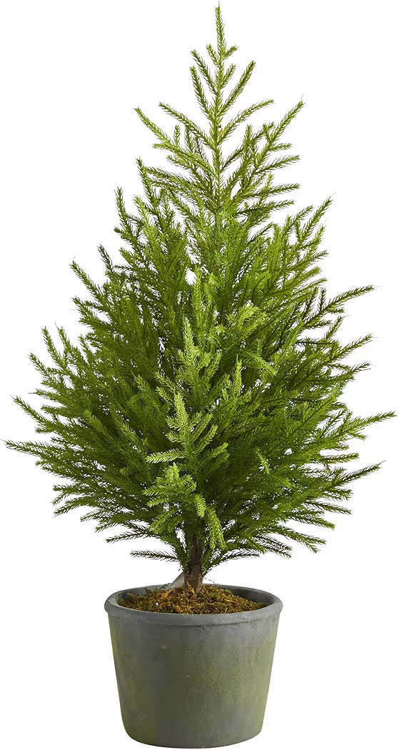 Nearly Natural 3ft. Norfolk Island Pine Natural Look Artificial Tree in Decorative Planter | Amazon (US)