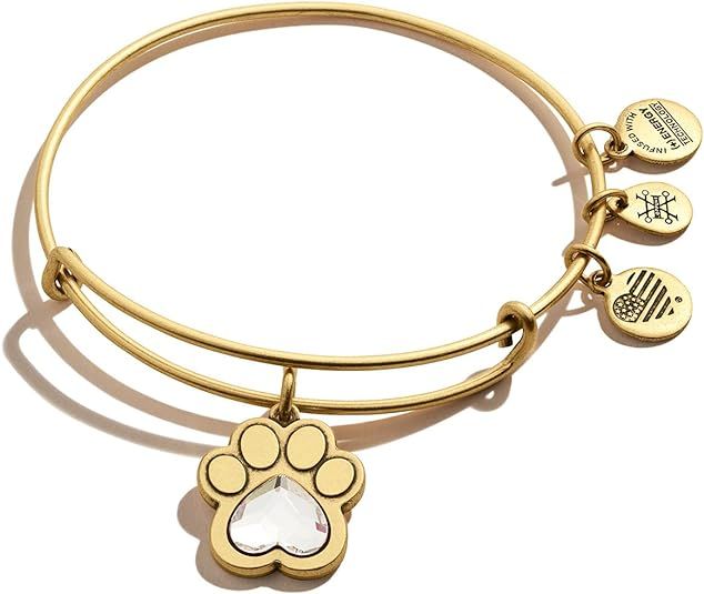 Alex and Ani Expandable Bangle for Women, Crystal Paw Prints of Love Charm, Rafaelian Finish, 2 t... | Amazon (US)