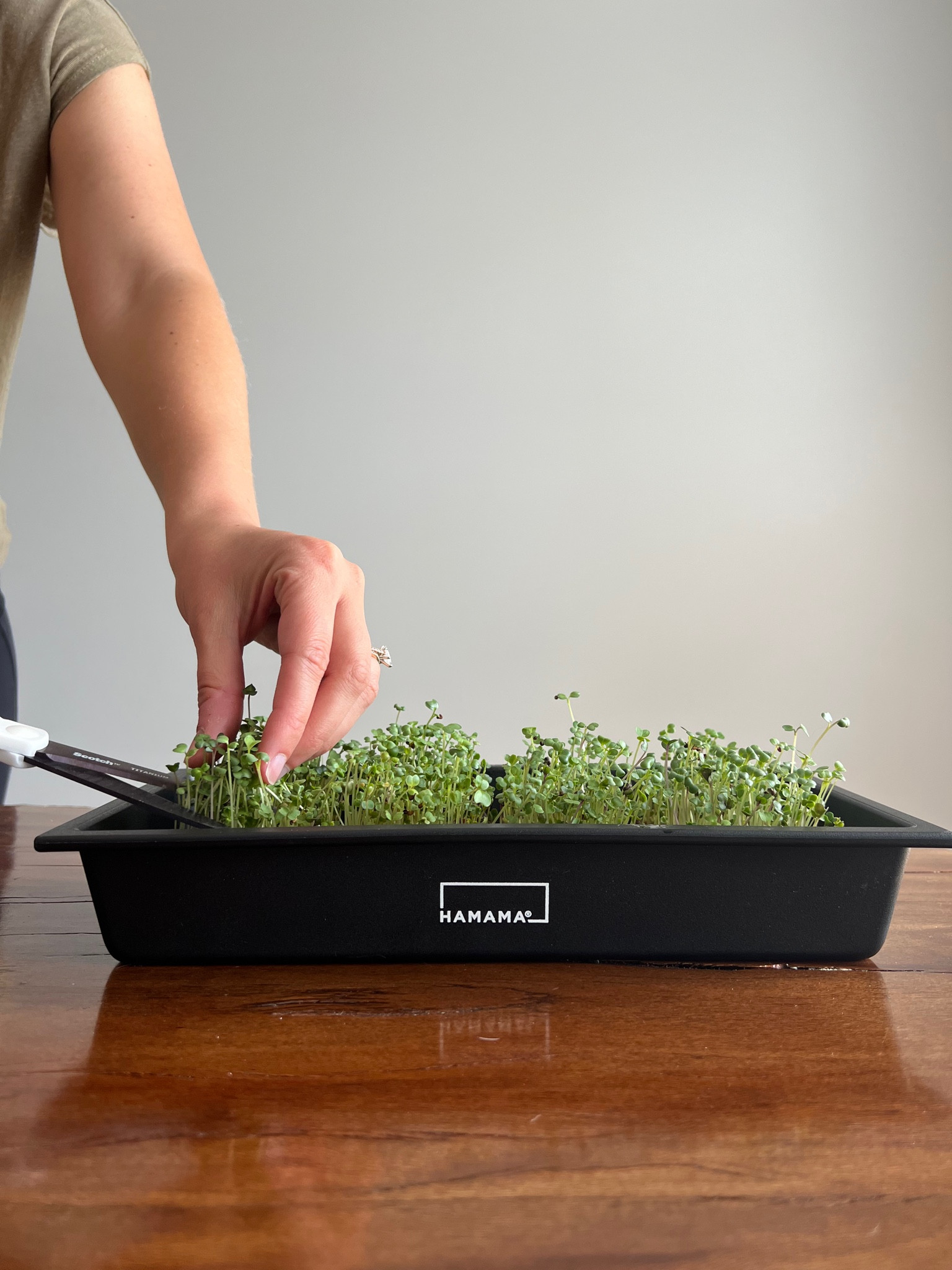 Even if you have a black thumb you can grow this 🌱👇🏼

Microgreens and sprouts are the EASIEST thing to grow indoors and one of the most nutrient dense foods on the planet! You can get a starter kit with seeds and grow medium and in about 2 weeks you’ll be good to go! Minimal care is required and light from a nearby window will do just fine. It truly doesn’t get easier! 

#gardening #growyourownfood #vegetablegarden #healthyliving

#LTKfamily #LTKhome #LTKFind
