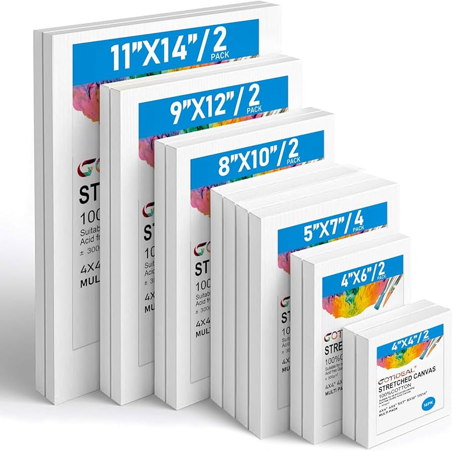 Gotideal Canvas for Painting, 14 Pcs Muti Pack Stretched Painting Canvas, Blank Paint Canvas for ... | Amazon (US)