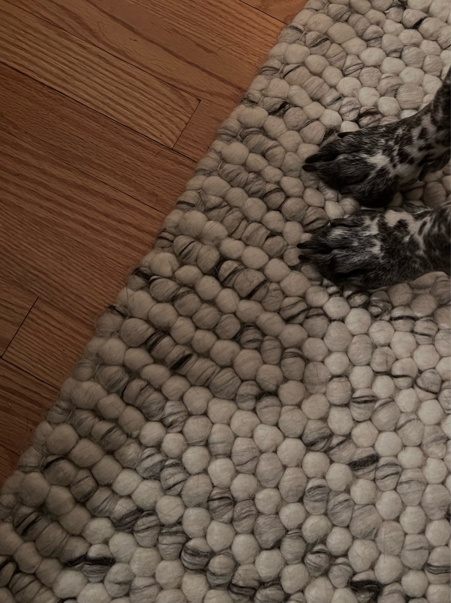 Rug🖤