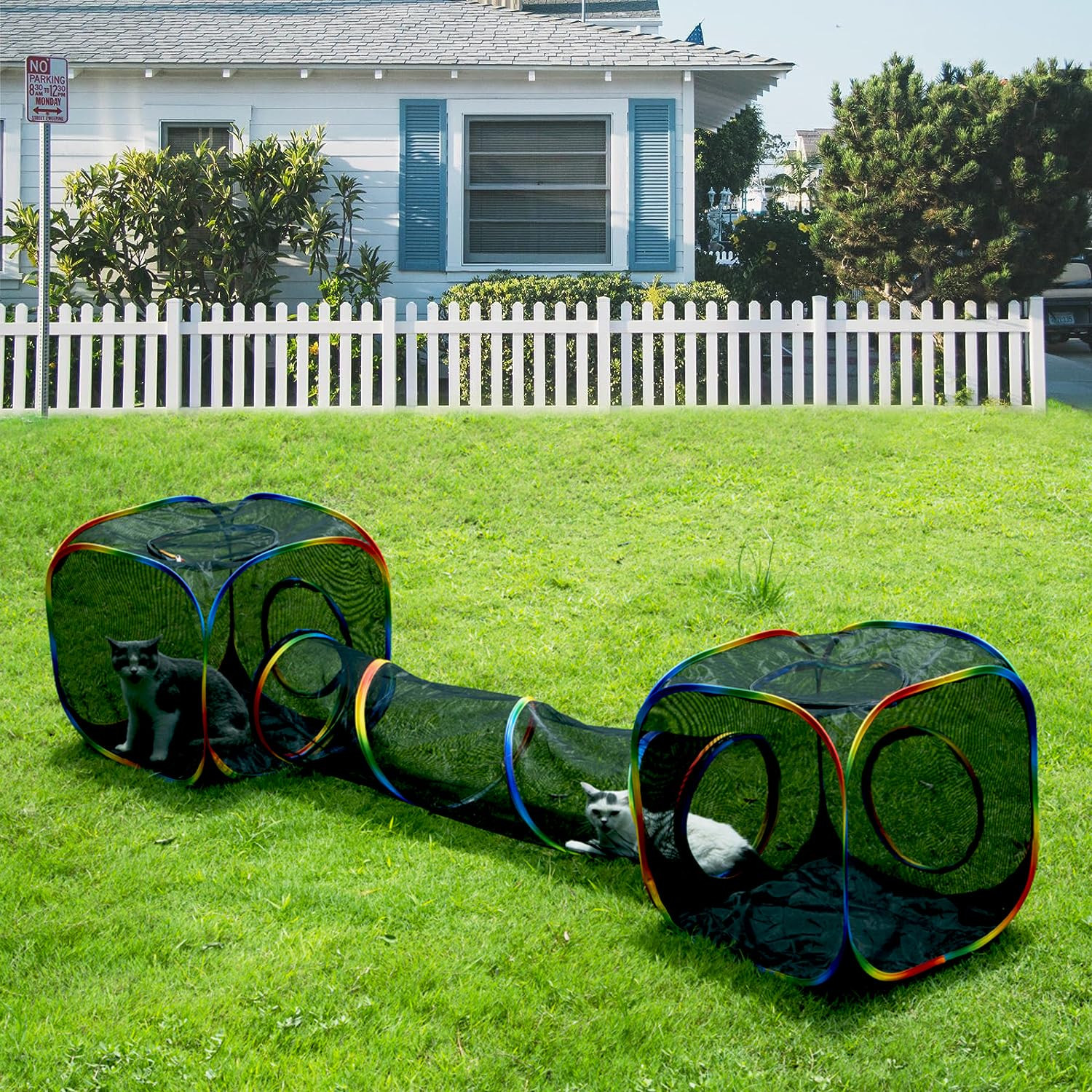 LUCKITTY Outdoor Rainbow Cat Enclosures Playground,Outside House for Indoor Cats Include Portable... | Amazon (US)