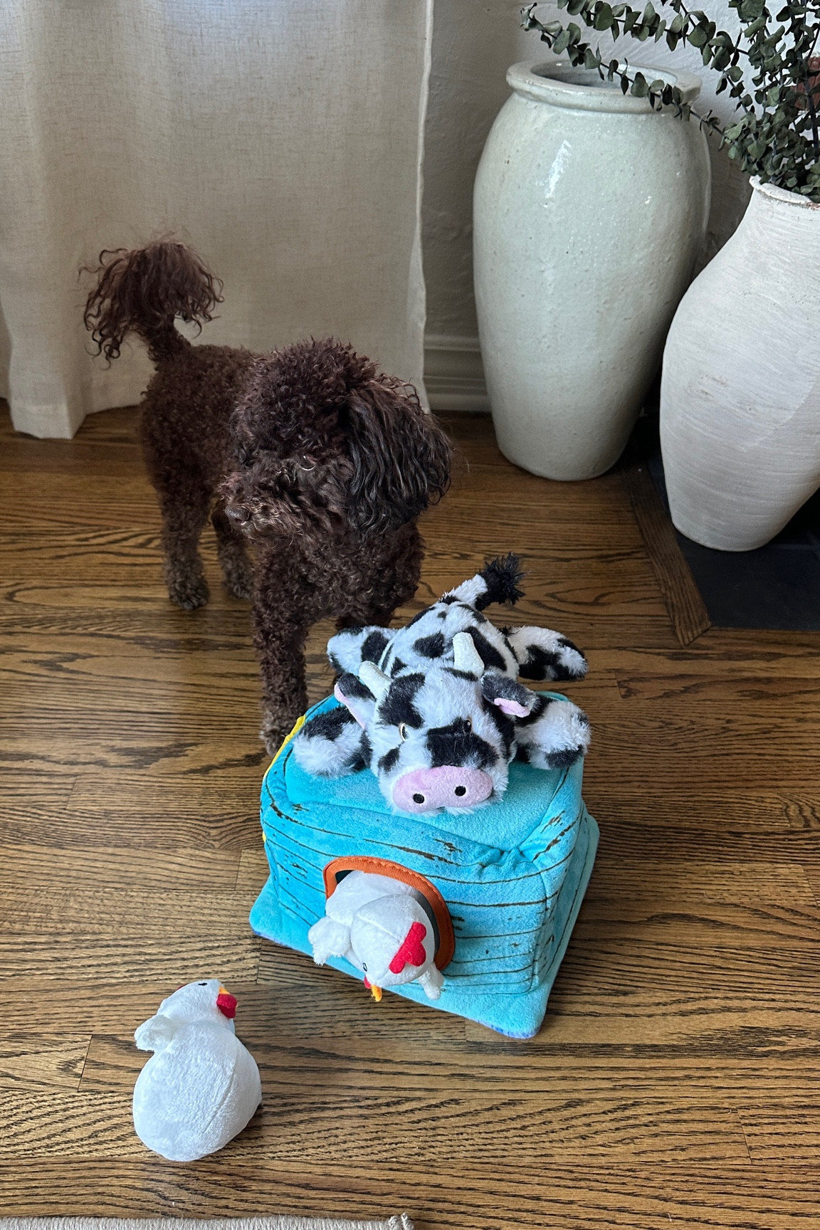 Brooklyn’s favorite toys, on sale now!! @chewy #chewypartner

#LTKCyberWeek #LTKGiftGuide #LTKSaleAlert