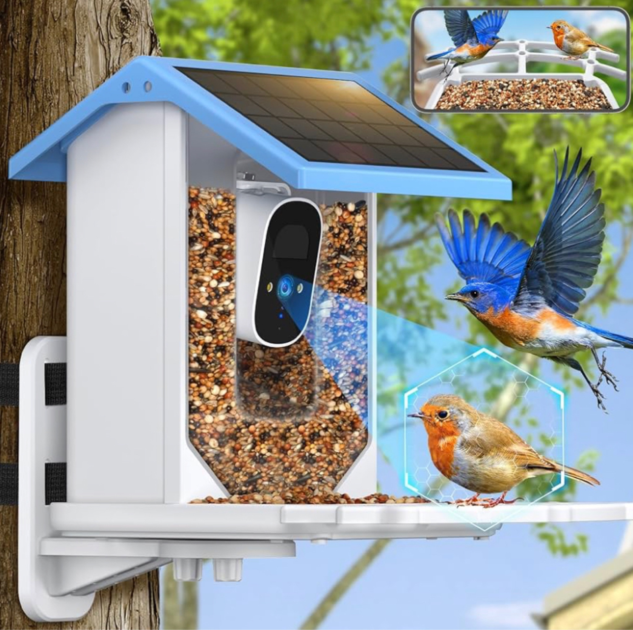 My mom has a bird camera and loves it! 

#LTKGiftGuide #LTKfamily #LTKsalealert