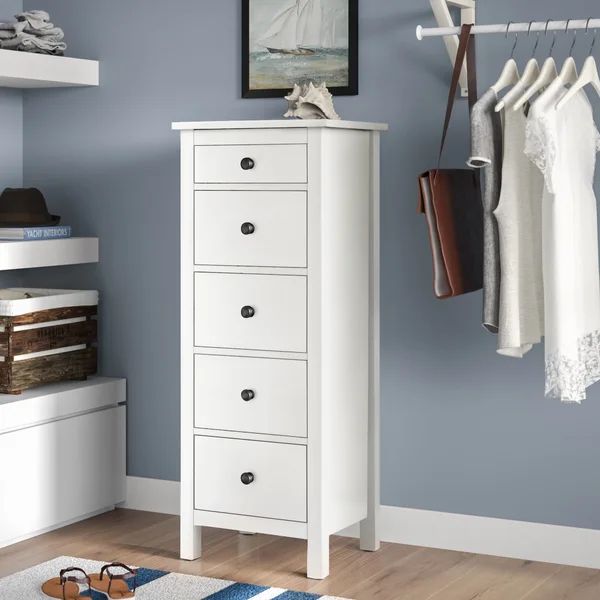 Bryant 5 Drawer 18.5'' W Lingerie Chest | Wayfair North America