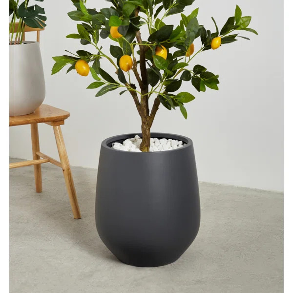 Fion Pot Planter | Wayfair North America