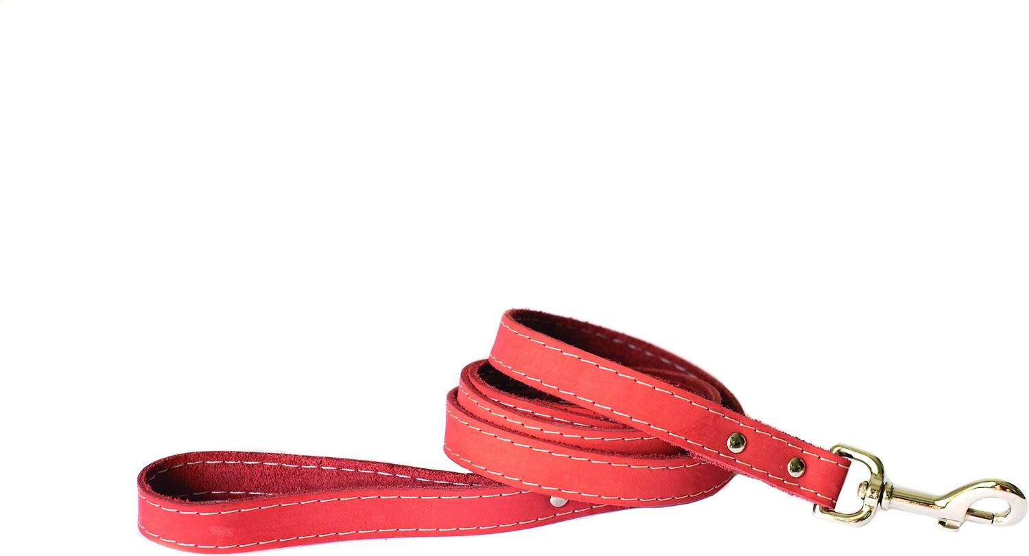 Euro-Dog Leather Dog Leash | Chewy.com