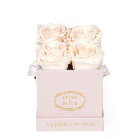 Le Petit | Venus ET Fleur
