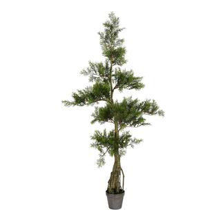 4ft. Potted Cedar Tree | Michaels | Michaels Stores