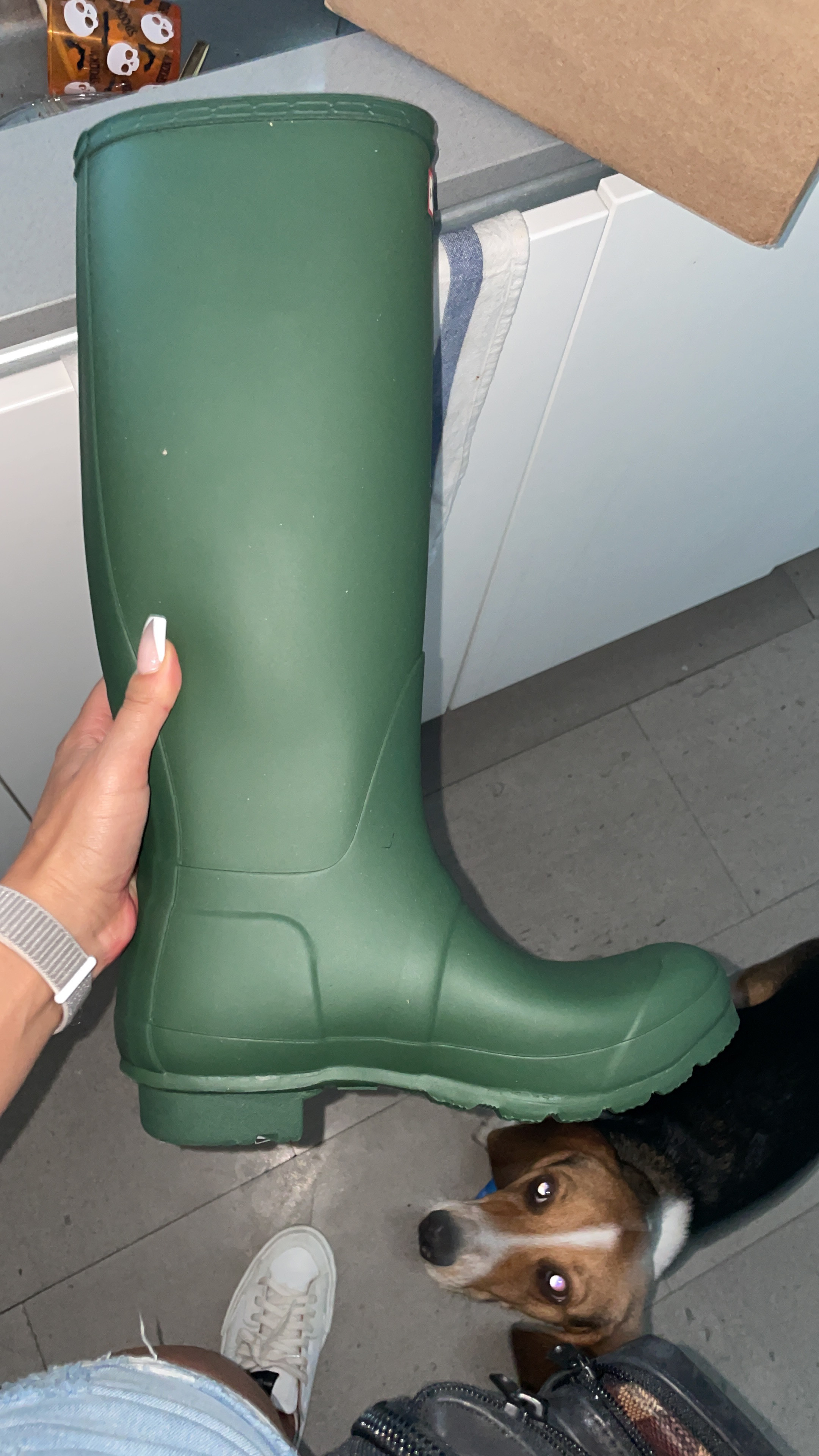 Hunter womens Original Tall | Amazon (US)