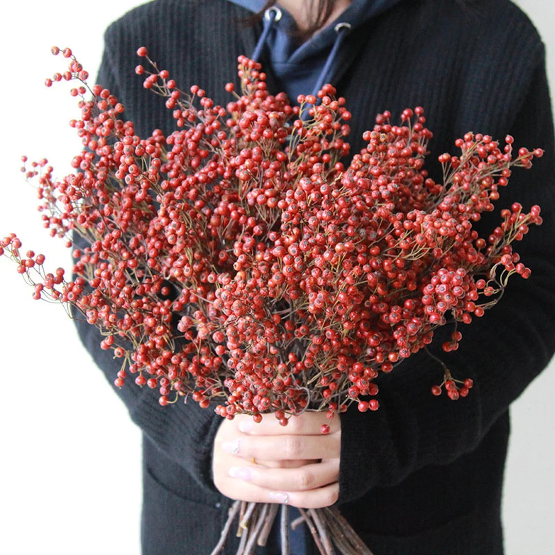 Small Red Fruit Branches , Dried Natural Red Fruits Bunch，vase Filling，christmas Wreath Mater... | Etsy (US)