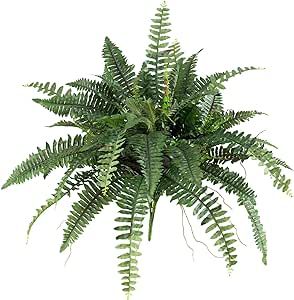 Nearly Natural 40in. Boston Fern (Set of 2), Green | Amazon (US)