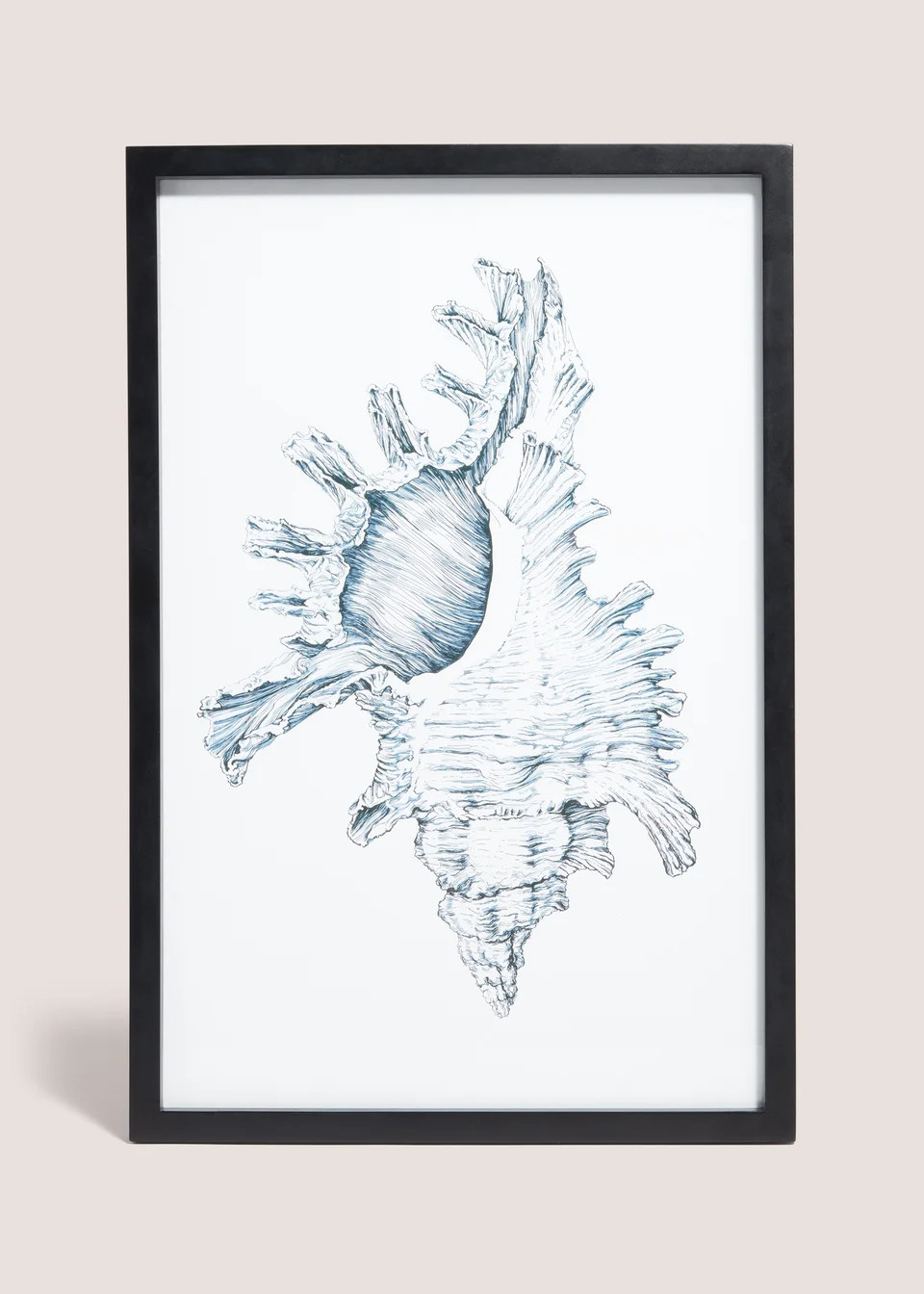Shell Wall Art (48cm x 32cm) | Matalan (UK)