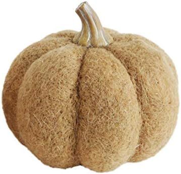 Creative Co-Op Wool Pumpkin with Resin Stem, Light Orange | Amazon (US)