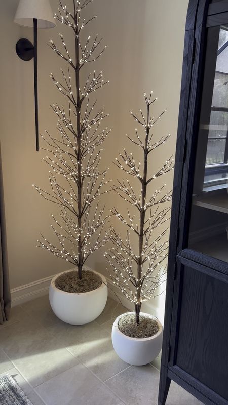 These twinkling trees are a must have for fall and winter! They are perfect for Christmas, but they can also be used all fall and winter long. They are one of my favorite decor pieces! 

Twinkling twig tree, pottery barn tree, white planter, white pot, smart plug 

#LTKHoliday #LTKhome #LTKVideo