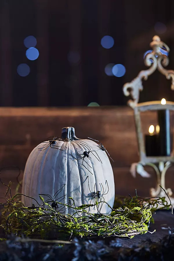 Spooky Spider Pumpkin Stakes, Set of 5 | Terrain