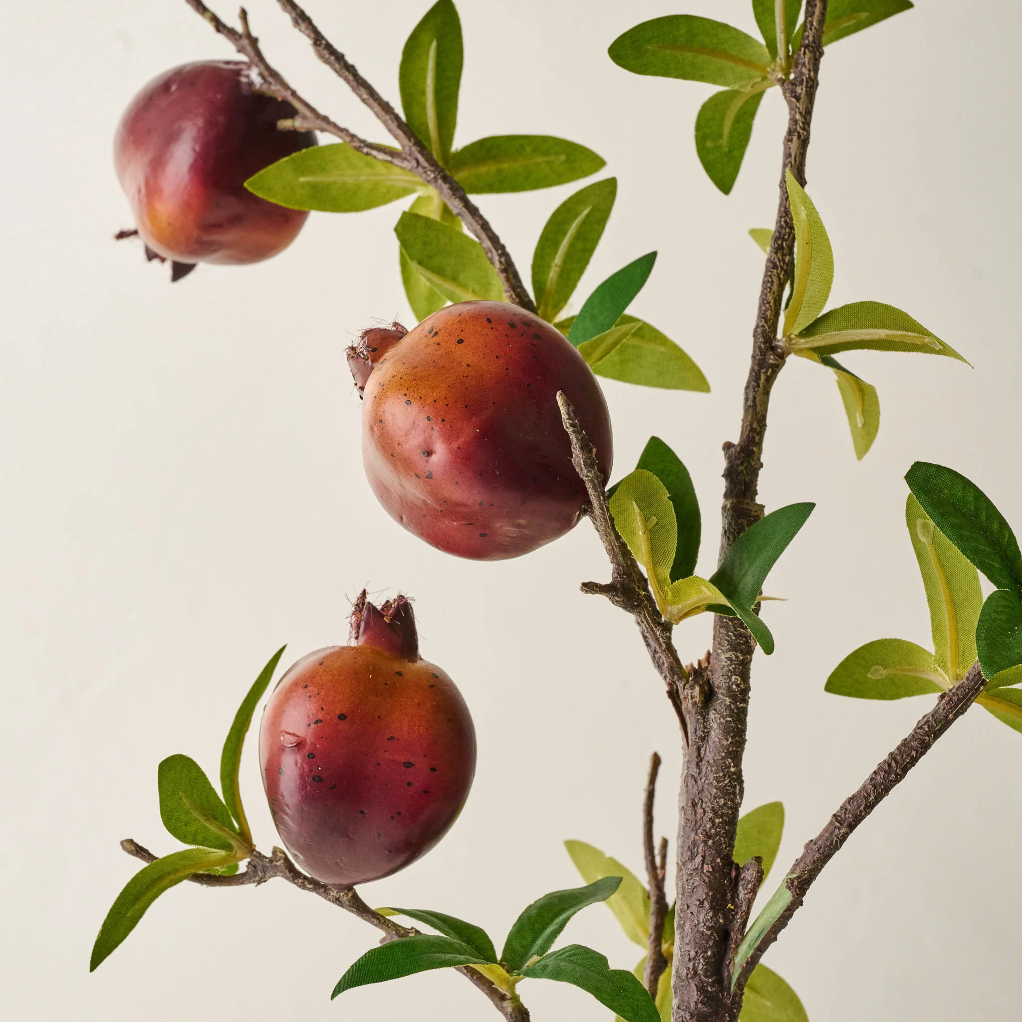 Pomegranate Spray | Magnolia