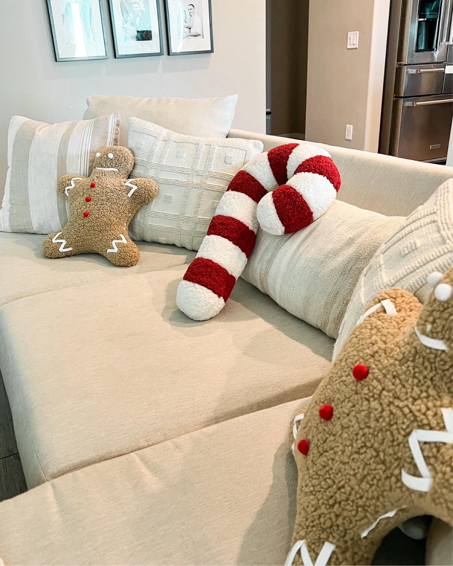 Candy Cane + Gingerman pillows — Aldi finds $9.99 // pottery barn look for less!✨ linked similar finds. 

#holidayhomedecor #holidaydecor #christmasdecor #mrspicepillow #gingerbreadpillows #gingerhousepillows #candycanepillows #christmastreepillows #santapillows #peppermintpillows #targetpillows #targethome #targetfinds #christmaspillows #potterybarndupe #candycanelookforless #lookforless #dupefinds #christmasdecoration #cyberweeksale #kirklandshome #kirklandsholiday #kirklandssale #kirklandpillows #pillows #holiday #christmas #homefinds #seasonalfinds #affordablefinds #ltkhome #ltkgiftguide #ltkcyberweek #potterybarnlookalike #homedecor #trending 

#LTKSeasonal #LTKHome #LTKHoliday