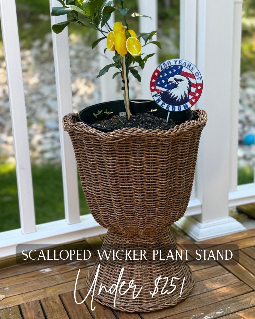 Sale on these beautiful scalloped wicker plants stands stands. Indoor/Outdoor use.

#LTKSeasonal #LTKSaleAlert #LTKHome