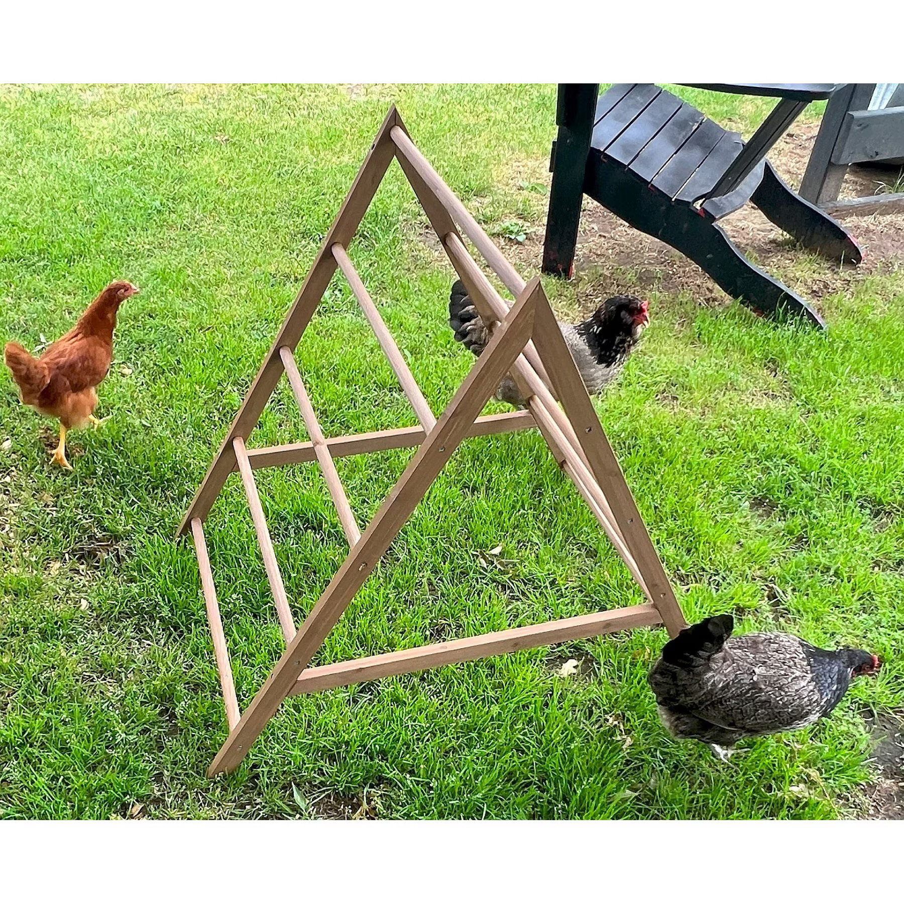 Zylina Play-N-Roost Chick Activity Center | Chewy