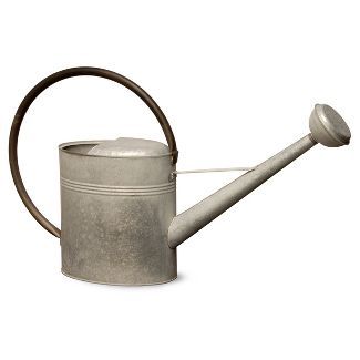 Garden Accents Antique Watering Can Silver 18" - National Tree Company | Target