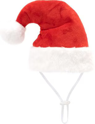 The Worthy Dog Christmas Ho Ho Ho Dog Party Hat, Large | Chewy