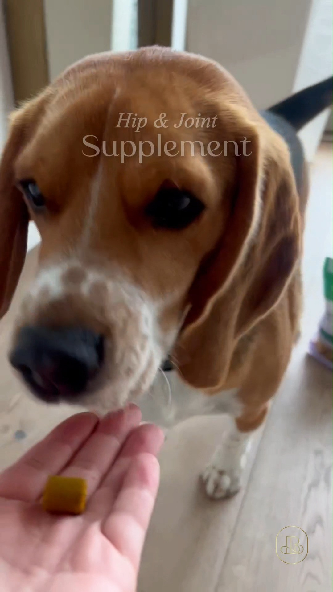 Keeping our furry best friends active and happy as they grow older is everything! 🐕 Formulated with glucosamine, chondroitin, and real plant-based ingredients, these soft chews keep tail-waggings smooth and joints feeling flexible. Must-have grab if you prioritize clean-label products for every member of your family. Thoughtful surprise for any dog parent in your circle! 🐾 #LTKpets #LTKunder50 #PetPantry #CleanPetCare #DogHealth#PetEssentials#DogWellness 

#LTKHome