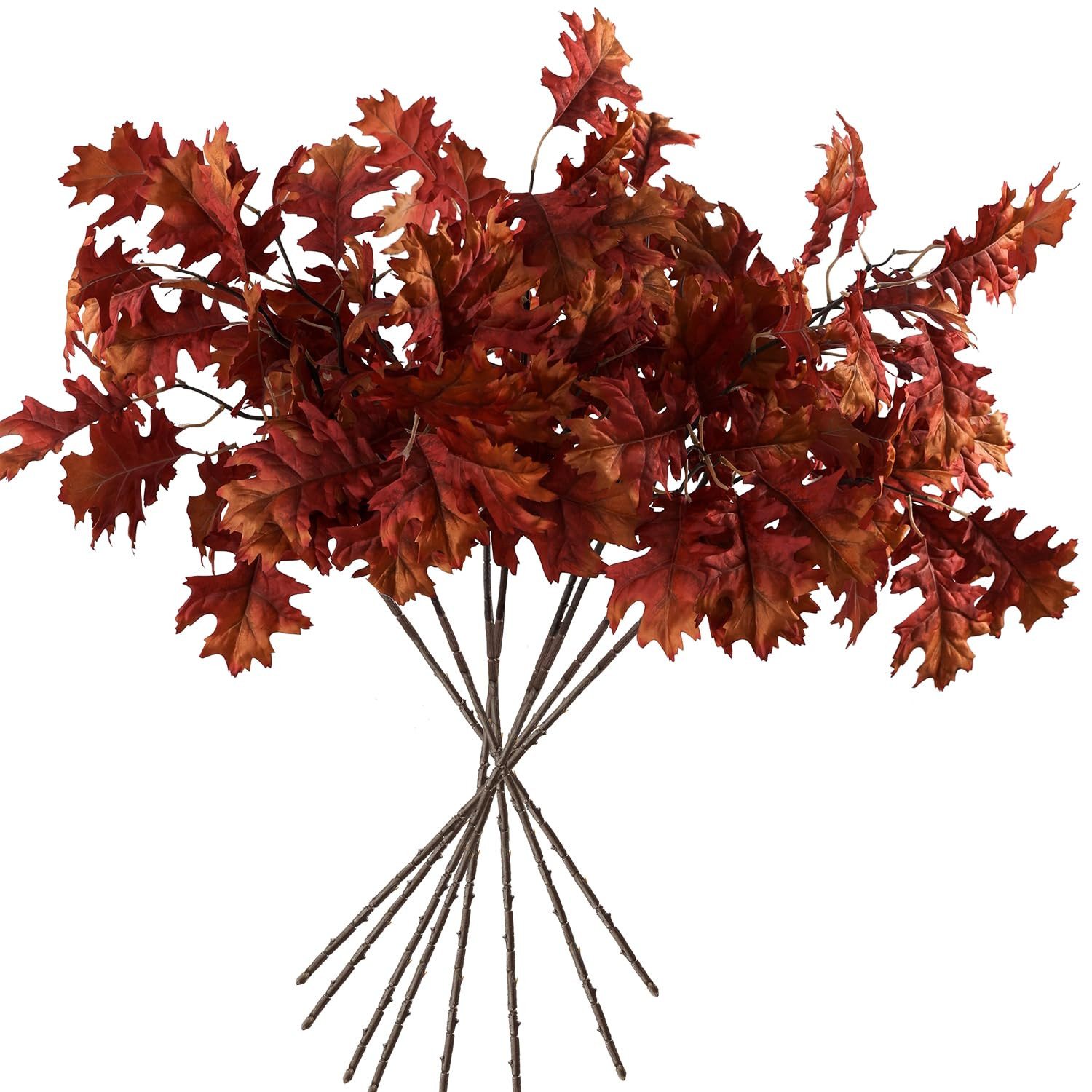 Oak Leaves(orange-red) | Amazon (US)