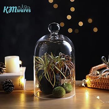 5.1"X8.9" Clear Glass Display Dome Cloche Bell Jar Tabletop Decorative Case covered plants/food | Amazon (US)