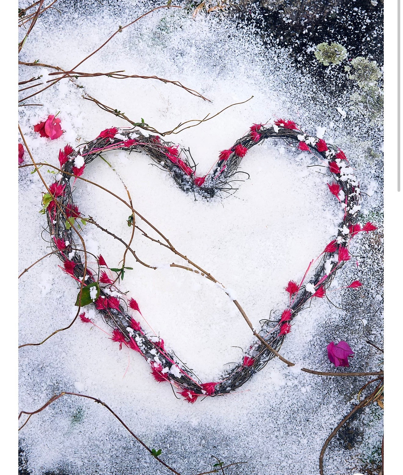 Weeping Bamboo + Vine Heart Wreath

Handmade especially for terrain, this delicate heart wreath is woven from natural angel vine with colorful weeping bamboo accents.

#LTKHoliday #LTKHome #LTKSeasonal