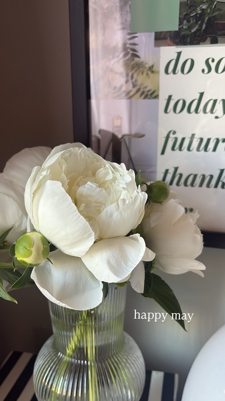 starting the month with a fresh cut bouquet 

#LTKHome #LTKselfcare