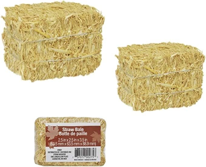 Mini Straw Bale Bundle of 3 Natural Hay for Autumn Fall Harvest, Craft Decoration and Display 2.5... | Amazon (US)