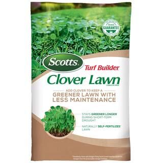 Scotts 2 lb. Turfbuilder Clover Lawn-18013-1 - The Home Depot | The Home Depot