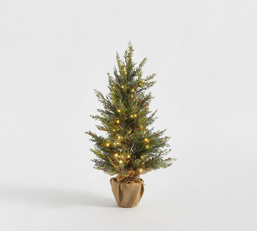 Faux Lit Cedar Berry Pine Tree | Pottery Barn (US)