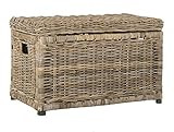 happimess Elijah 30" Wicker Storage Trunk, Natural | Amazon (US)
