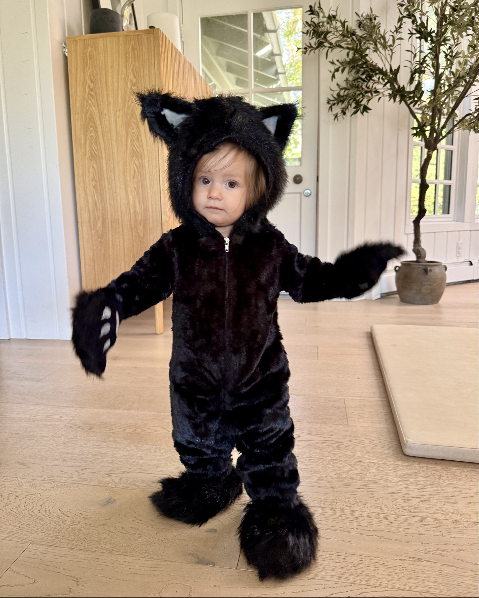 The cutest black cat costume for babies! Her big sister is being a witch so naturally a black cat is the perfect costume! Bonus, it’s warm and will keep her cozy during trick or treating! The paws fold back to free up her hands and the feet slip on over shoes. And it’s only $29! #babycostume #babyhalloween #firsthalloween

#LTKKids #LTKHalloween #LTKBaby