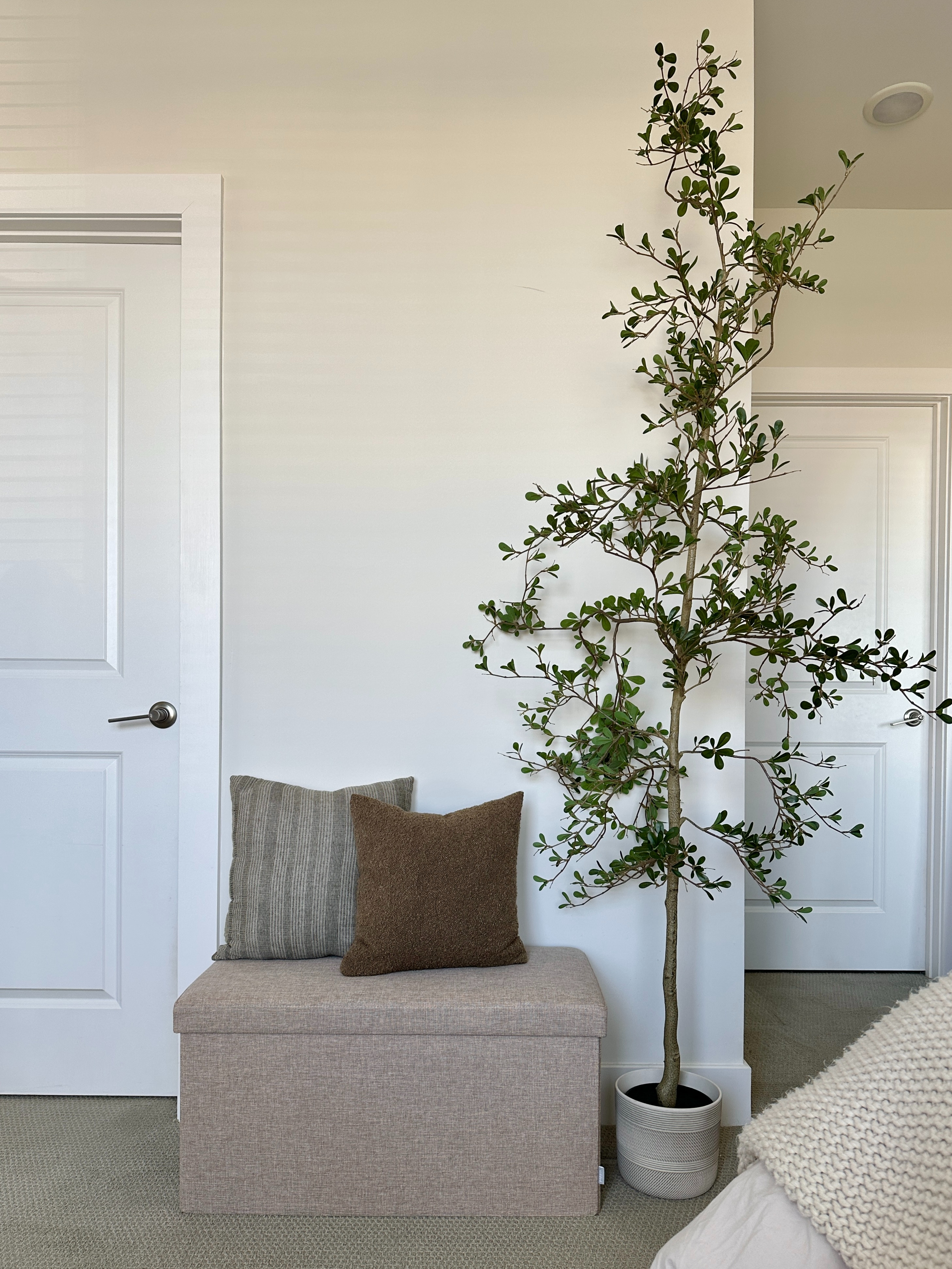 The perfect blend of storage and style — this neutral bench hides extra blankets and toys while keeping your space minimal and cozy.

Linked below for anyone looking for functional furniture ideas that don’t disrupt your home’s calm aesthetic.

#storagebench #neutraldecor #homeorganization #ltkhome #modernneutralhome 

 #LTKHome #LTKFamily