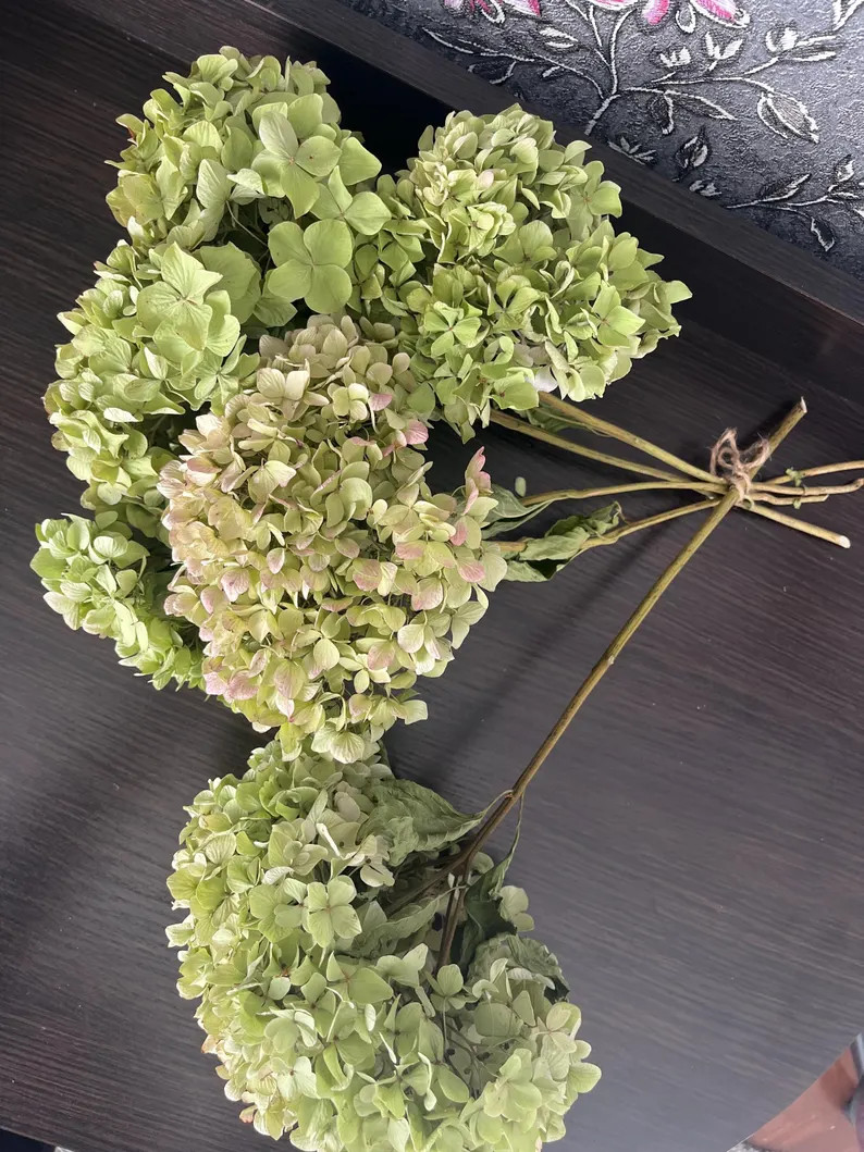 Hydrangea, Dried Hydrangea, Dried Flowers, Home Decor, DIY, - Etsy Canada | Etsy (US)