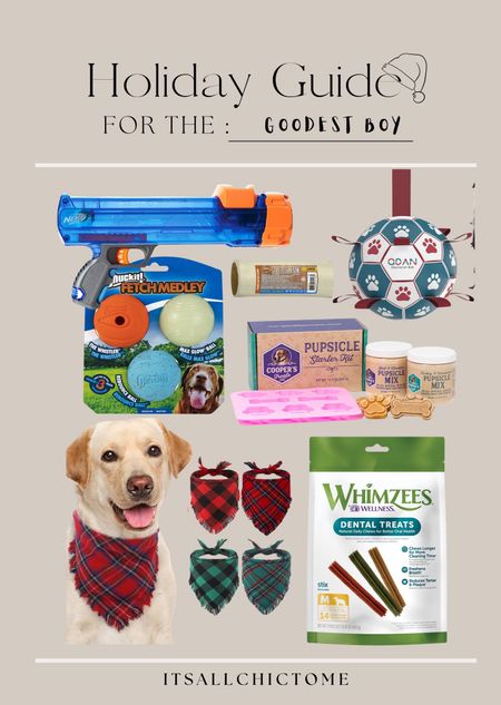 Gifts for pets, dogs, last minute gifts, 2 day Amazon prime shipping 

#LTKGiftGuide #LTKHoliday