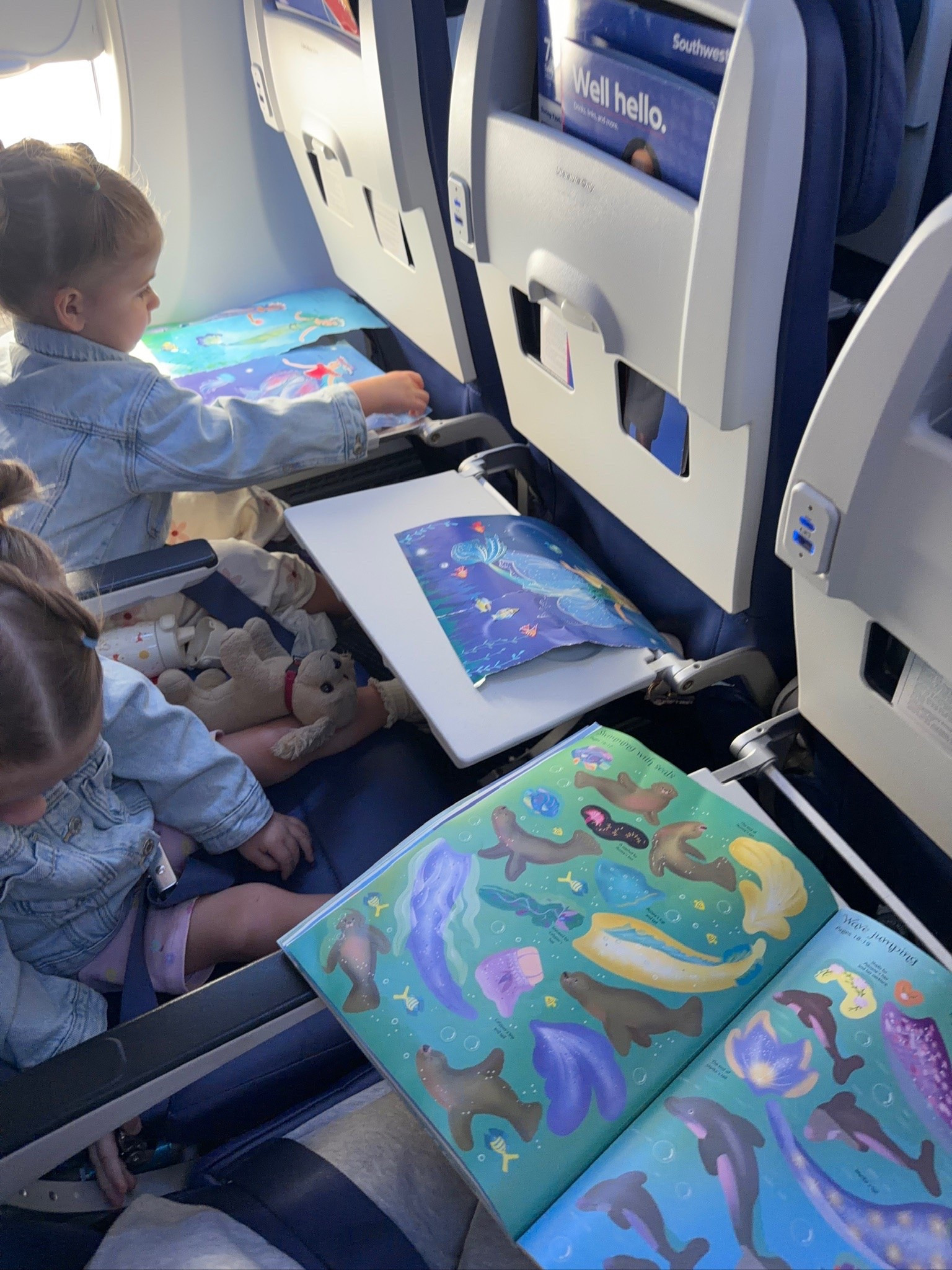 Loved having these sticker books on hand for our flight!!!

#LTKTravel #LTKKids