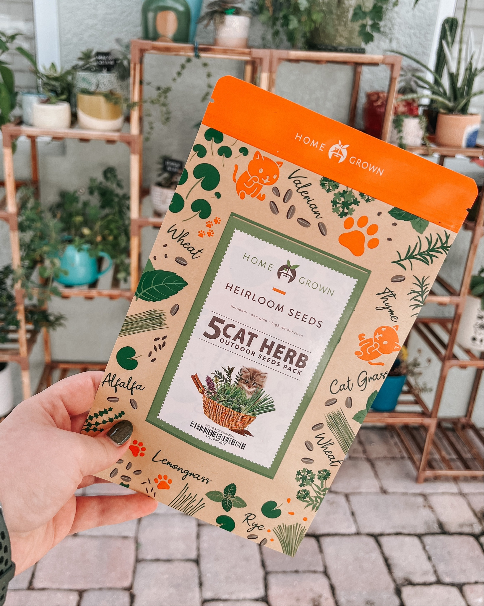 Cat herbs for the garden! The little sprouts are already a hit with my cats 😻💚🍃

#LTKhome #LTKSeasonal #LTKfamily