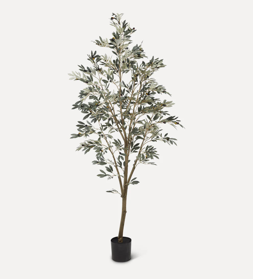 Faux Olive Tree | Le Maé by Lindye