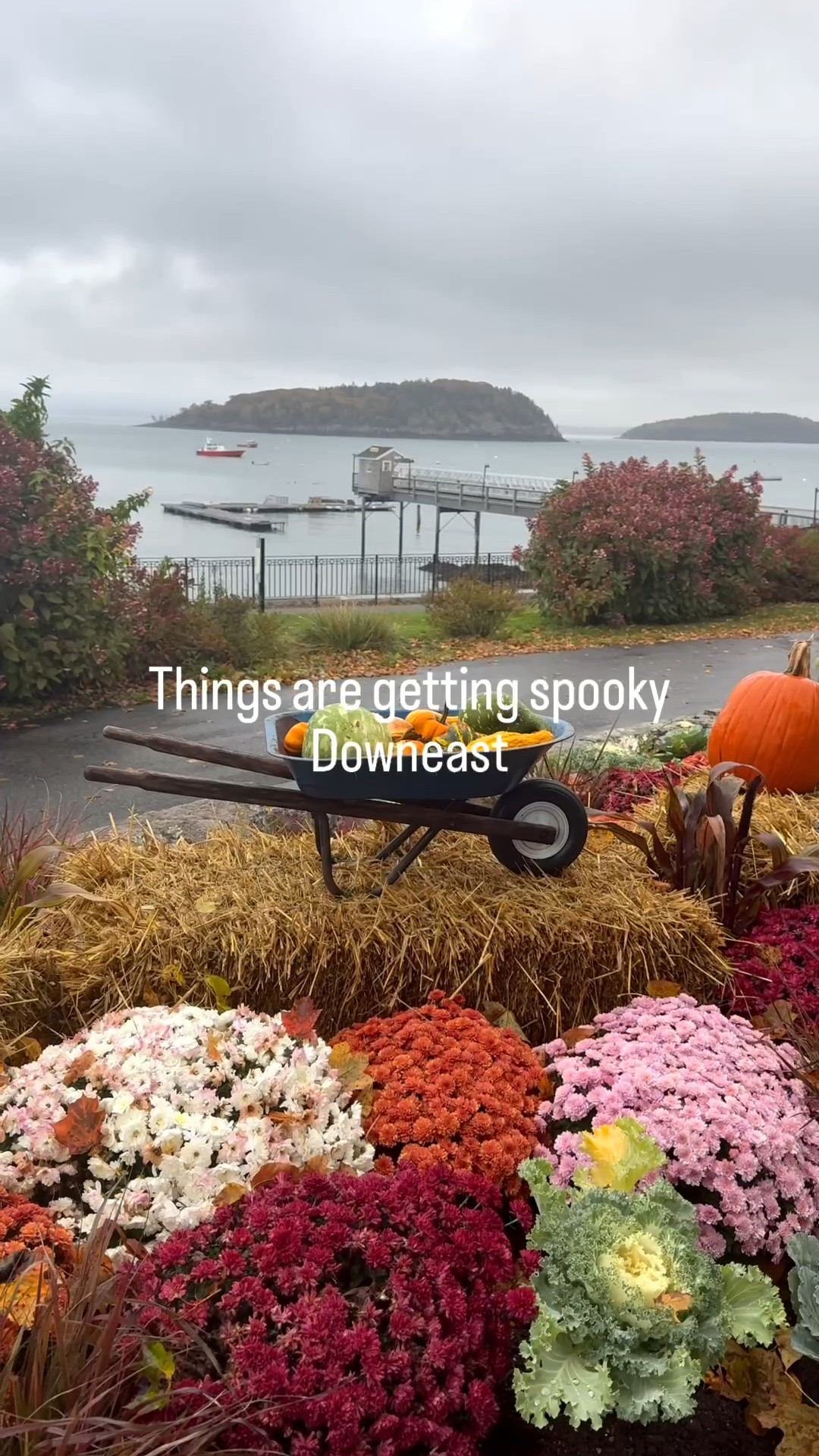 Therr is no better place to be.

#downeast #spookyseason #mdi #barharbor