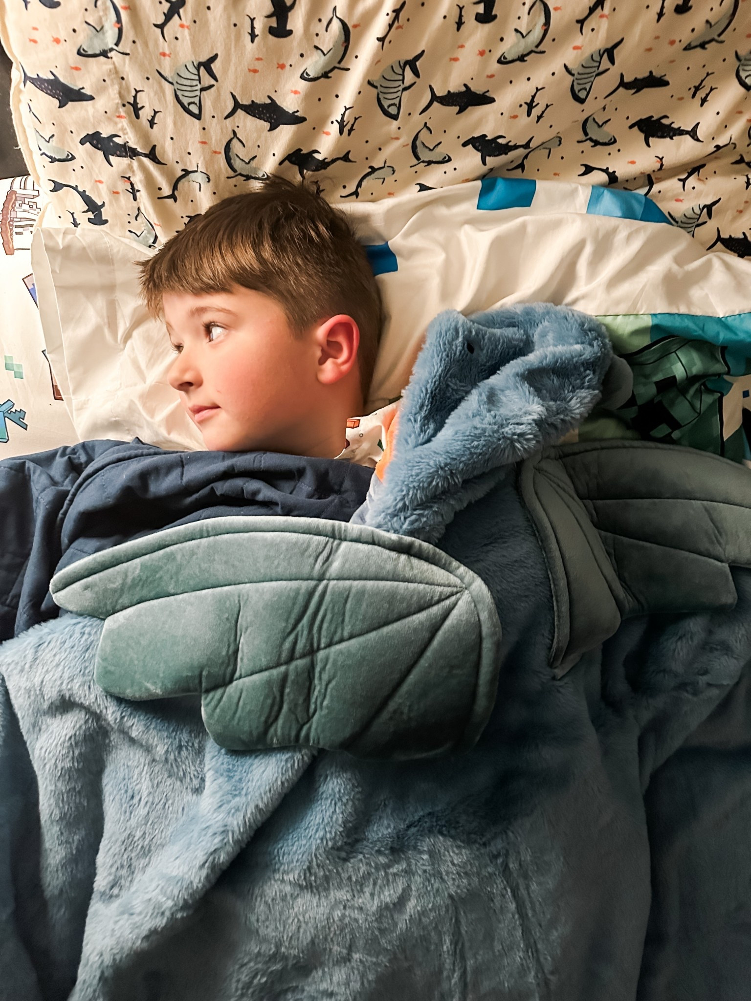 dragon hooded blanket from pillowfort keeping my son safe and cozy at bedtimee

#LTKKids #LTKGiftGuide #LTKHome