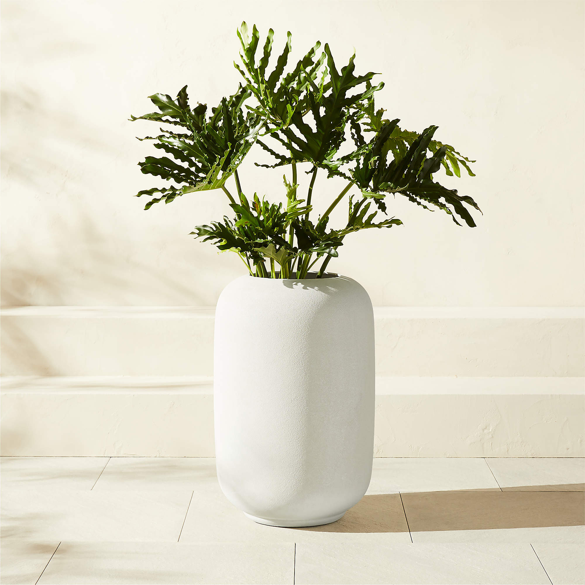 Anique Round White Cement Indoor/Outdoor Large Planter 26" + Reviews | CB2 | CB2